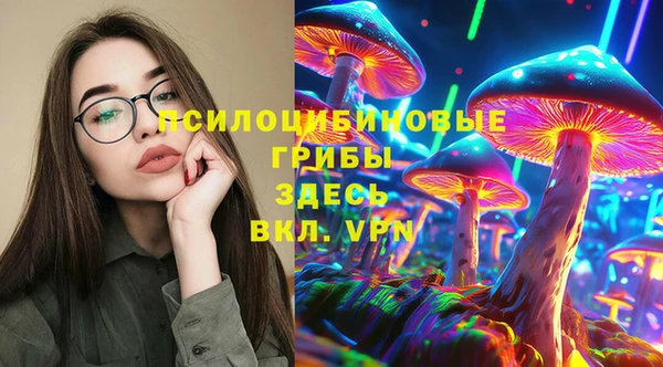 прущая мука Инта