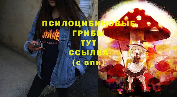 прущая мука Инта