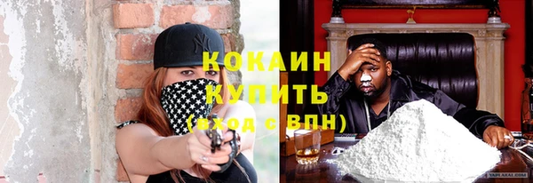 прущая мука Инта